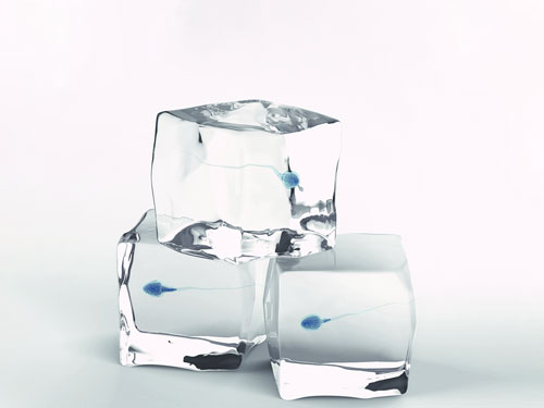 STRUCTURAL ELEMENTS: Heading level 1Fertiprotektion