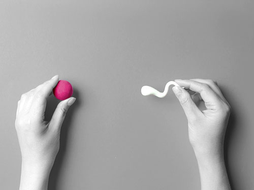 Unterstützung der natürlichen Konzeption