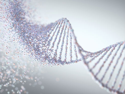 Präimplantationsdiagnostik